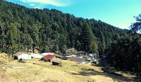 Binsar Complete Travel Guide