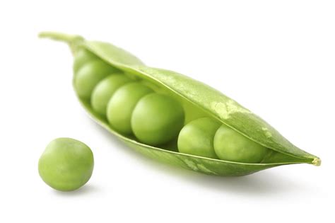 Pea Png Image Transparent