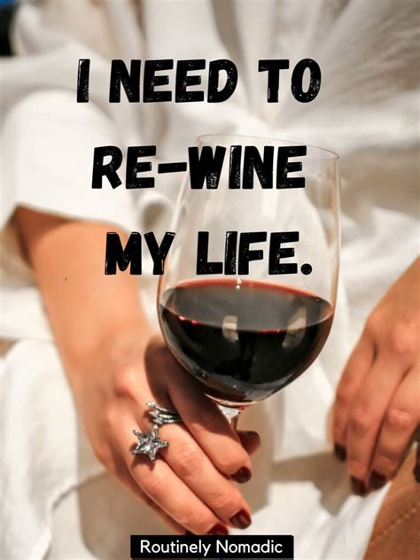 Funny Wine Captions Routinely Nomadic