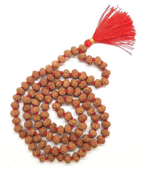 Lab Certified 5 Mukhi Rudraksha Mala For Men Women Wearing Natural