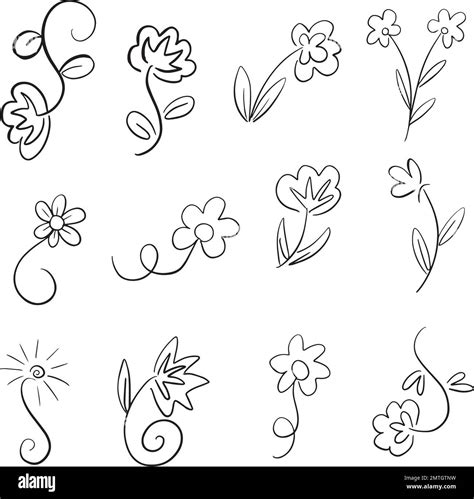 Floral Line Art Flowers And Leaves Doodle Illustrations In Vector Stock