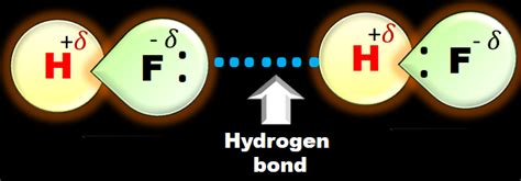 What Is Hydrogen Bond Types Of Hydrogen Bonding With Examples Digital