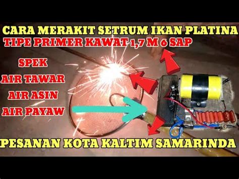 Setrum Ikan Primer 1 7 Mili 6 Sap Air Asin Tawar Dan Payau YouTube