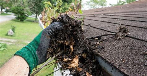 Gutter Cleaning Services & Gutter Cleaners | Thumbtack