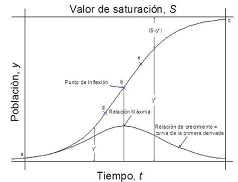 Conceito De Crescimento Vegetativo