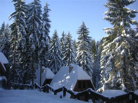 Planina Zlatar WestSerbia Org