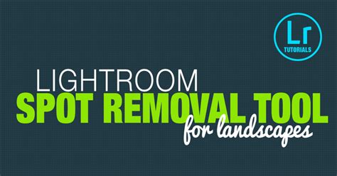 Lightroom Spot Removal Tool - Case Study