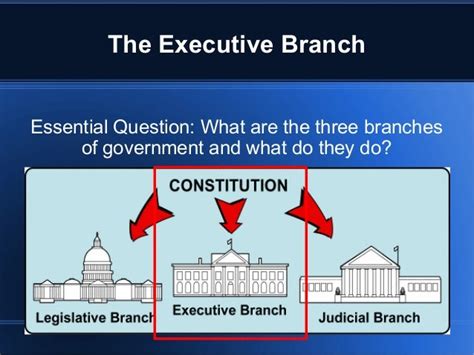 Executive branch