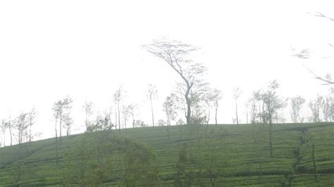 Vagamon Photos, Pictures of Famous Tourist Places and Attractions ...