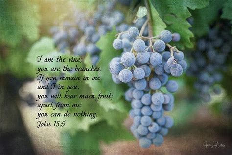 I am the Vine Photograph by Joan Baker - Fine Art America