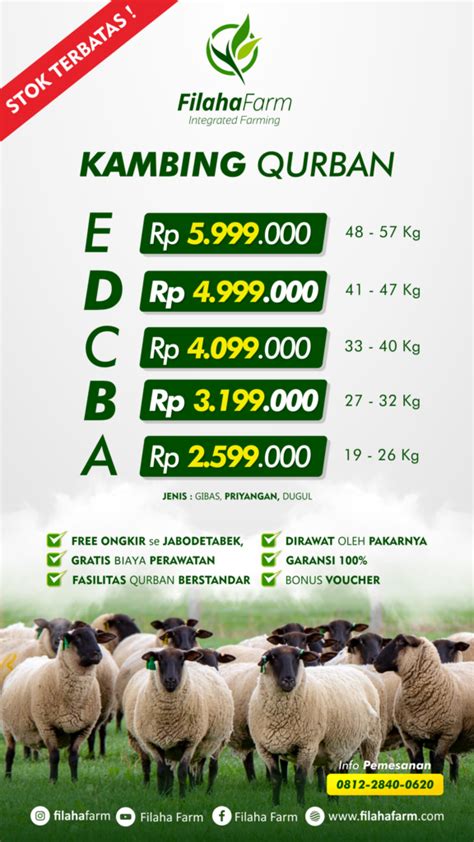 Detail Daftar Harga Hewan Qurban Koleksi Nomer