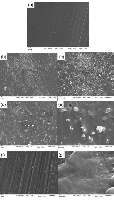 Scanning electron micrographs of various composites. (a) pure PET at ... 
