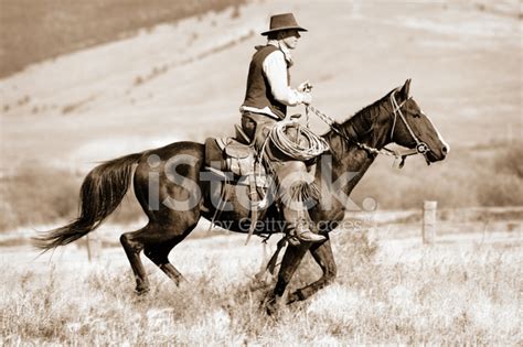 Cowboy Su Cavallo Al Galoppo Fotografie Stock Freeimages