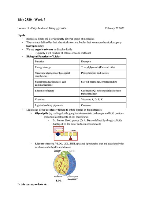 Bioc 2580 Notes Week 7 Week 7 W23 Bioc 2580 Week 7 Lecture 19