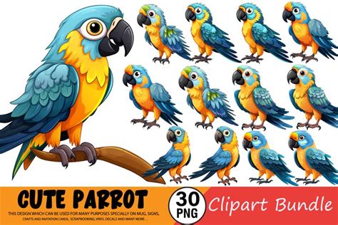 Watercolor Cute Parrot Clipart Bundle