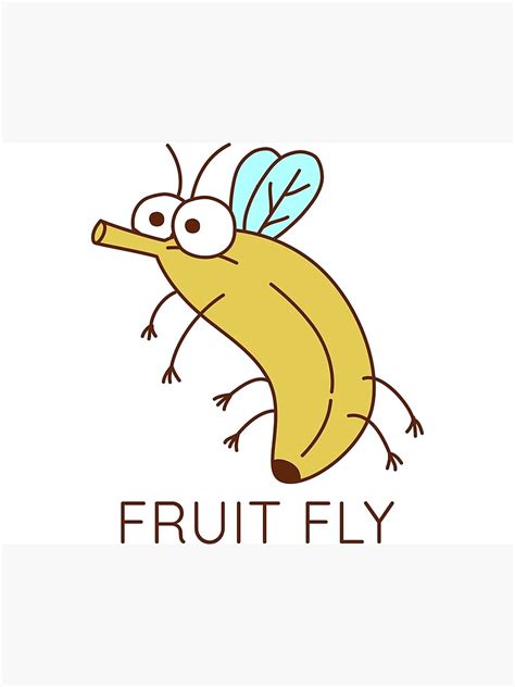 Fruit Fly Insect Banana Poster For Sale By Petprints Redbubble