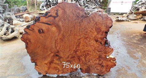 Burl Wood Redwood Burl Maple Burl Walnut Burl Wood