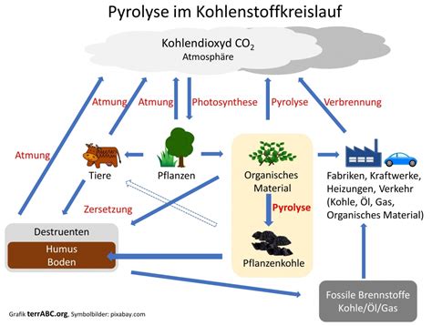 Grundlagen Pyrolyse Pflanzenkohle Und Ihre Klimawirkung Terrabc