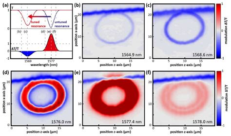 Spatial Photomodulation Maps A Sketch Of The Untuned And Tuned