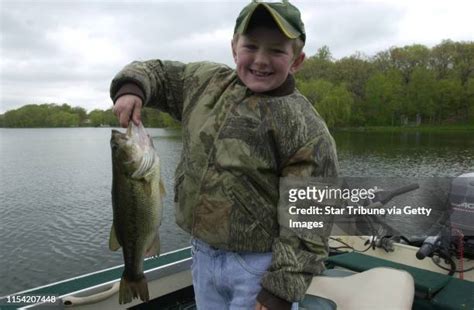 Golden Shiner Fish Photos And Premium High Res Pictures Getty Images