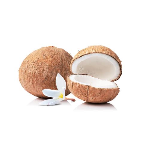 Coconut Fruit Cut In Half And Flying Isolated Stock Photo Image Of