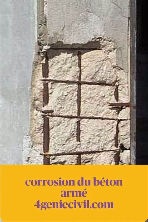 Diagnostique et maîtrise de la corrosion du béton armé Painting