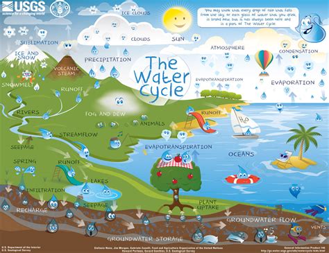 Interactive Water Cycle Diagram For Kids Advanced