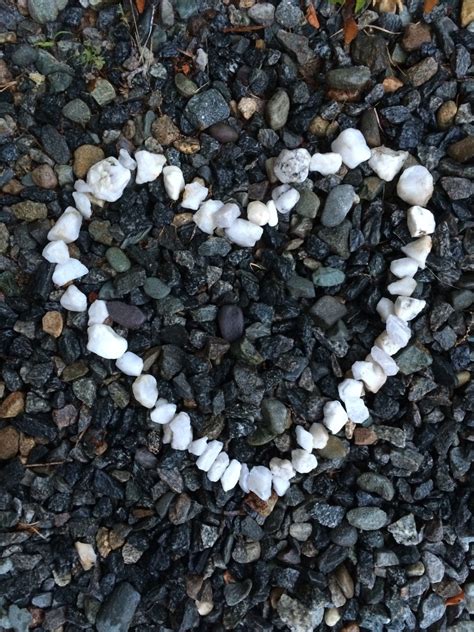 Gambar Laut Batu Hitam Dan Putih Musim Panas Garis Pantai