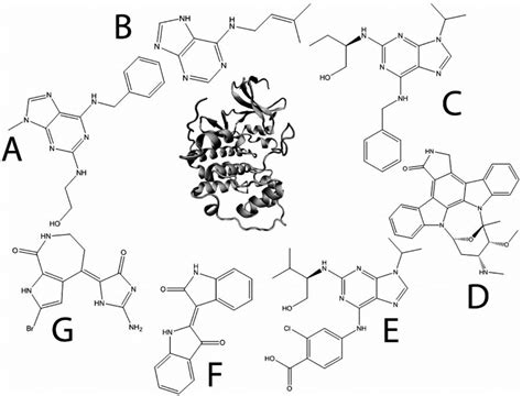 Molecular Structures Of Cdk Inhibitors A Olomoucine B Download High Quality Scientific