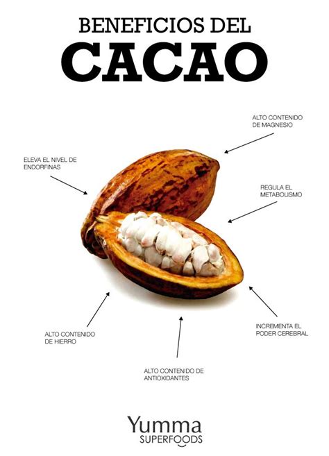 Los Beneficios Del Cacao Por Yumma Superfoods Frutas Y Verduras Beneficios Beneficios De