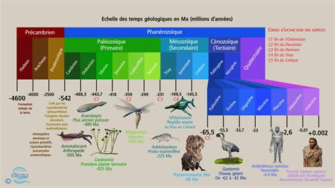 L échelle des temps géologiques Éleau org