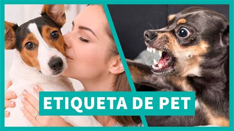 Regras de ETIQUETA PARA ANIMAIS que VOCÊ PRECISA SABER YouTube