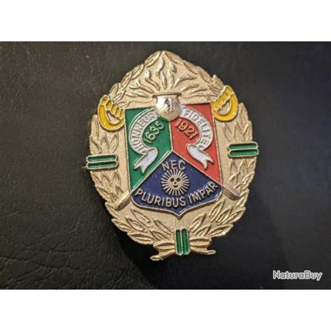 Pin S Pins Insigne Militaire Er Regiment Etranger De Cavalerie De