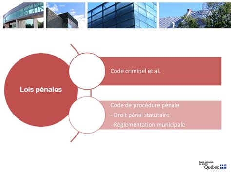 Les Pouvoirs Et Devoirs Des Policiers Face Un Tat Mental Perturb