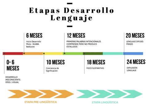 Etapas En El Desarrollo Del Lenguaje Desarrollo Del Lenguaje