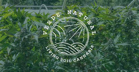 Verde Natural: Visit Our Dispensaries or Find a Retail Store