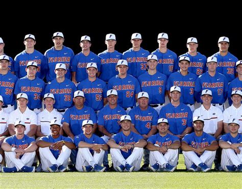 Gatorsterritory Florida Gators 2017 Baseball Primer