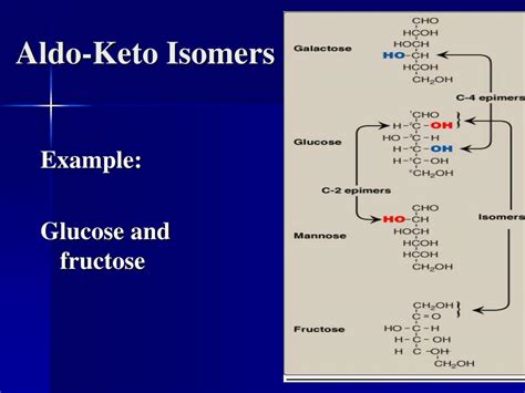 Ppt Carbohydrates Structure And Function Powerpoint Presentation Free Download Id 4873199