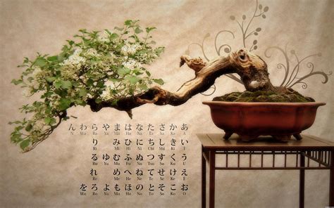 Japanese Bonsai Wallpapers - Top Free Japanese Bonsai Backgrounds ...