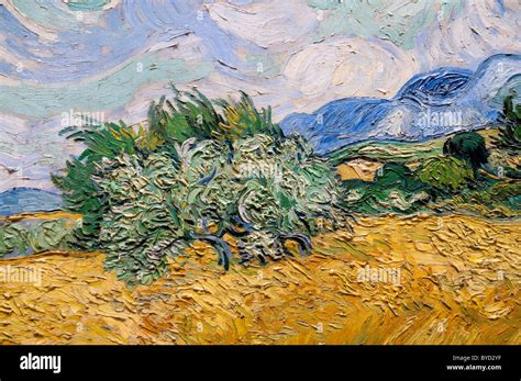 Detail Wheat Field With Cypresses 1889 By Vincent Van Gogh Stock