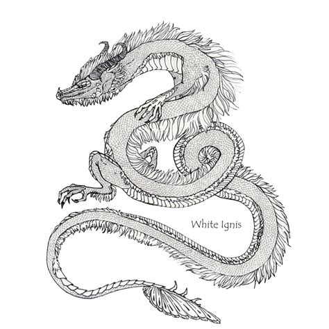 Eastern Dragon Sketch