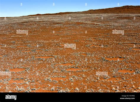 Fairy Circles Located In The Namib Desert In The Namib Naukluft