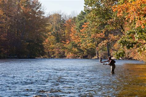 Tips For Fall Fly Fishing Hatch Magazine Fly Fishing Etc