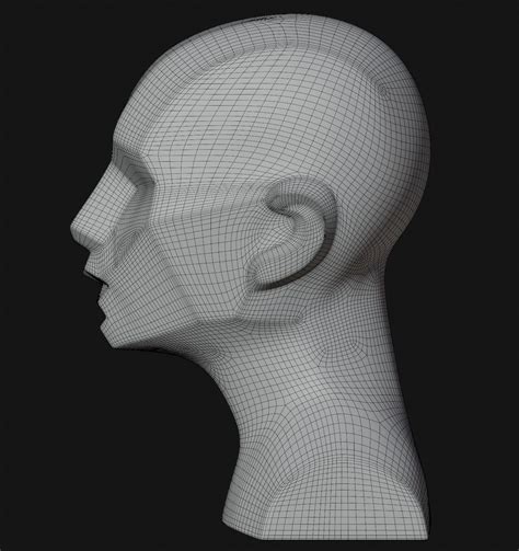 Simple Asaro Head Planes Of The Head 3D Model CGTrader