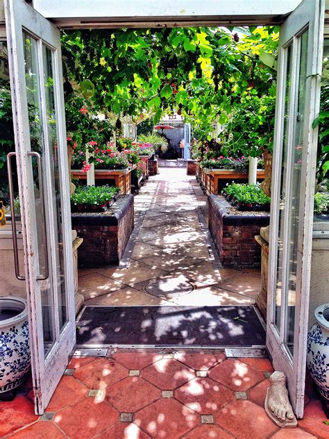 Clifton Nurseries, Maida Vale - A Hidden Oasis in London