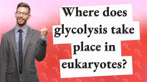 Where Does Glycolysis Take Place In Eukaryotes Youtube