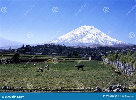 El Misti Volcano With Cloudless Sky One Of The Best Of Volcanoes Near