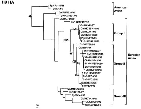 Phylogenetic Tree For The H Ha Gene Of Influenza A Viruses The