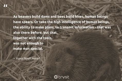 12 Beaver Quotes to Unleash Your Industrious Self