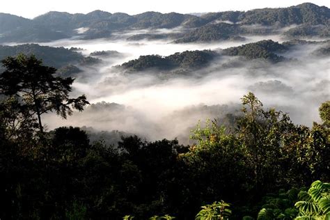 Mayumba National Park Gabon Gabon Gabon Lonely Planet
